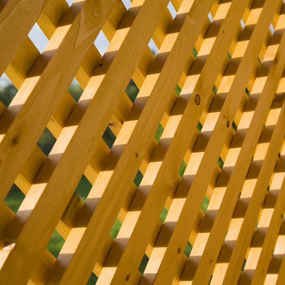 dreamstime_s_3369289 Trellis